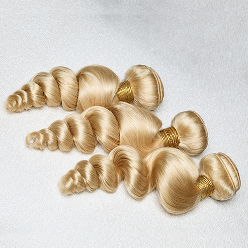 Brazilian Raw Bundle Loose Wave